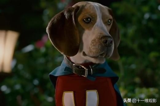 超能狗的电影叫什么名字（关于超狗的超狗任务电影）