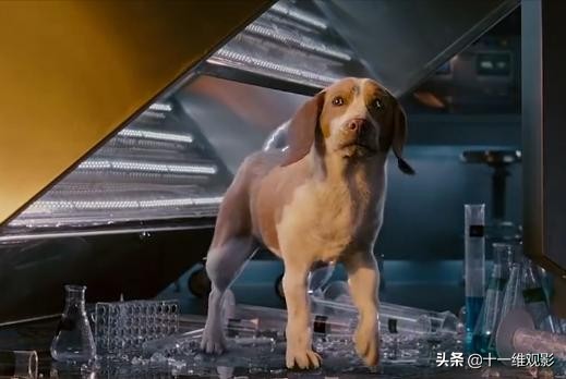超能狗的电影叫什么名字（关于超狗的超狗任务电影）