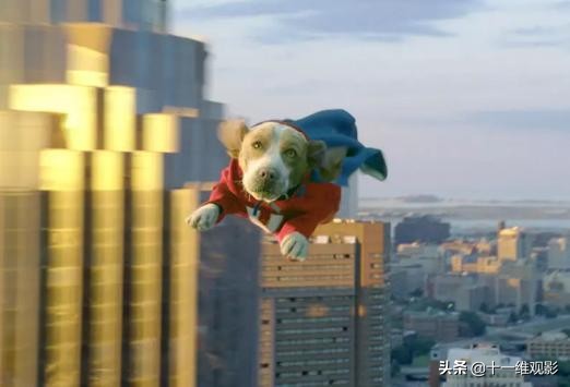 超人狗狗是什么电影（主角是一只狗的美国电影）