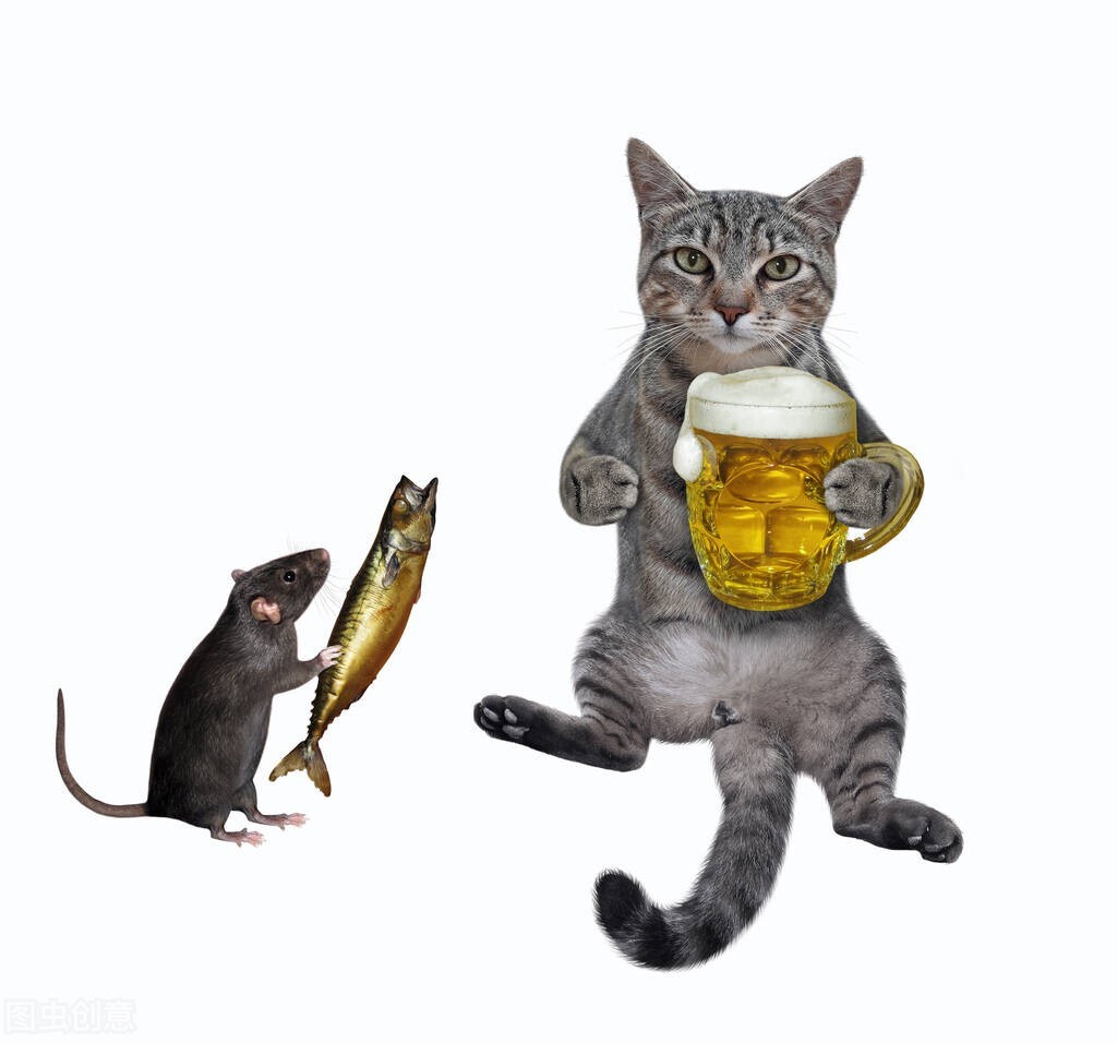 猫为什么要吃老鼠和鱼（猫抓老鼠有其深层次的科学原因）