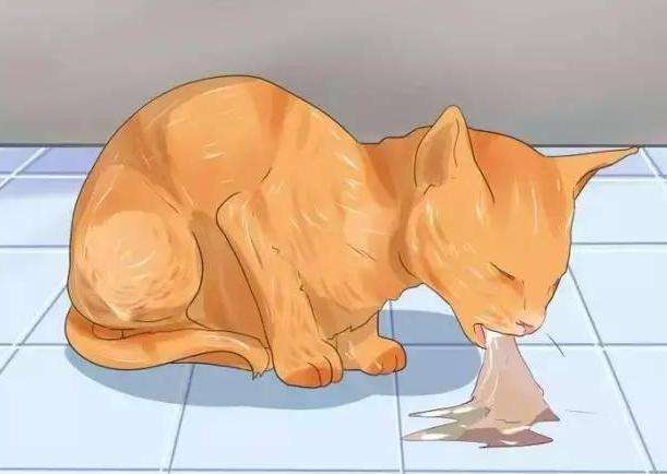 怎么分辨猫咪呕吐物和粪便（猫咪呕吐物判断表）