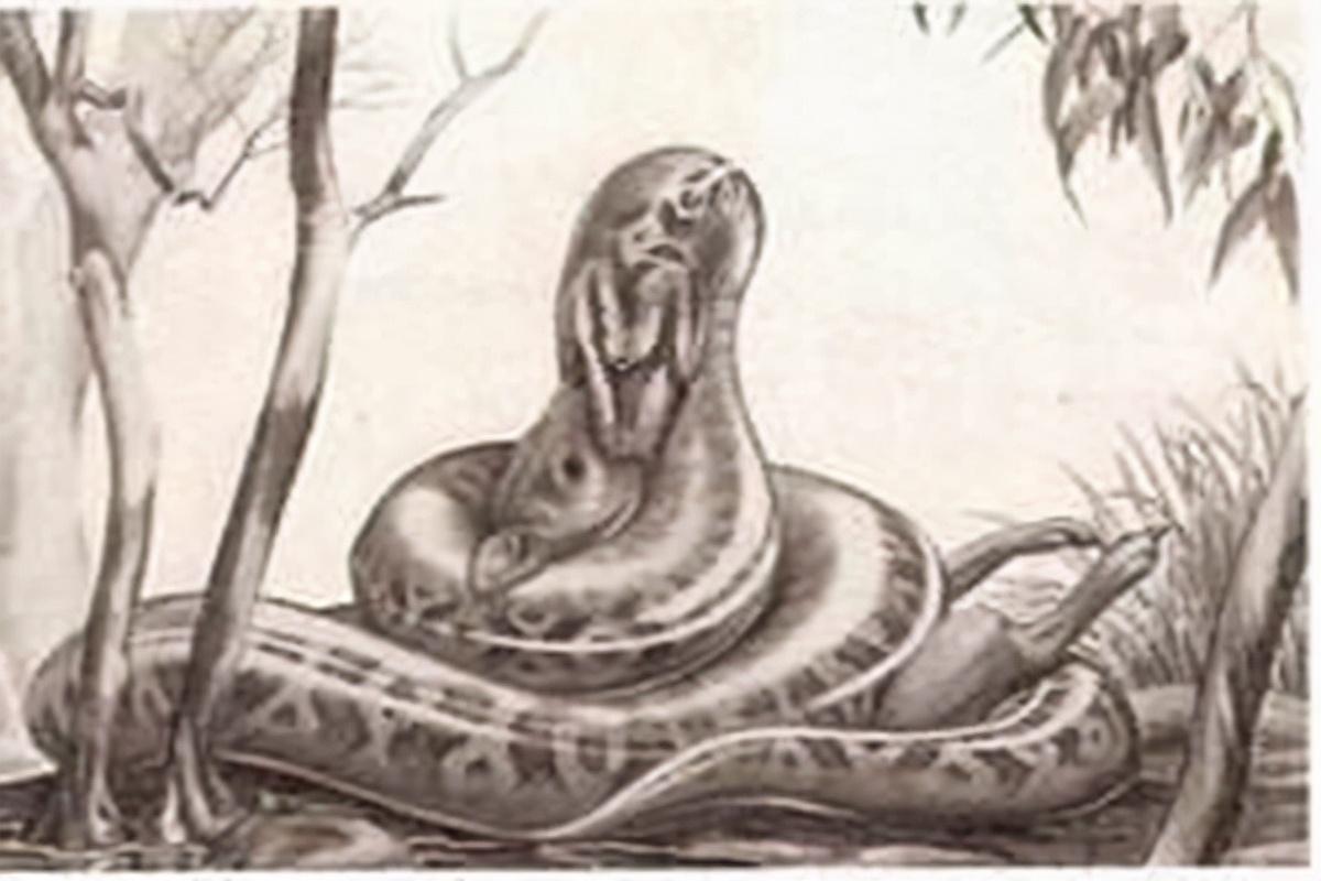 远古最可怕的三大巨蛇(十大远古巨蛇图片)