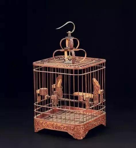 中国最好的鸟笼是什么笼（最好的笼养鸟排名）