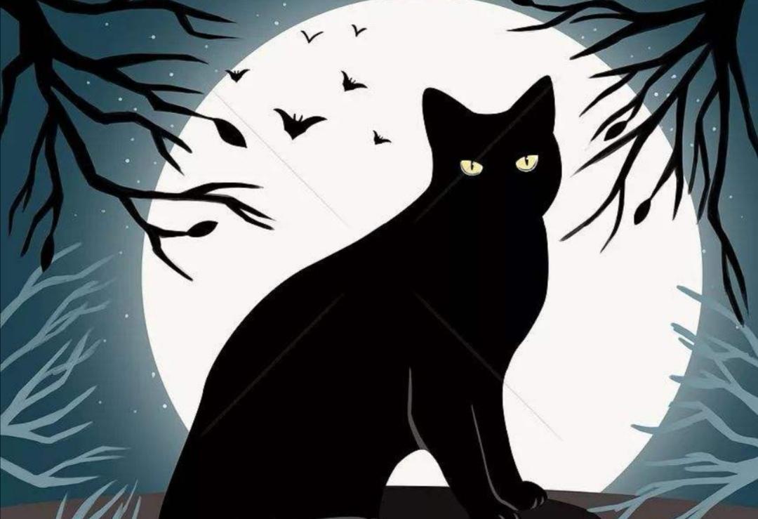 爱伦坡的黑猫适合什么人看（详解爱伦坡的黑猫小说内容）