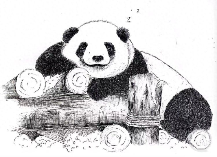 熊猫中国公益万里（169件熊猫作品亮相）