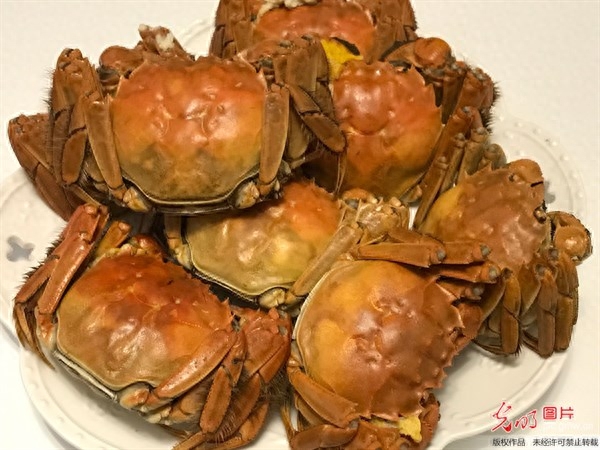螃蟹怎么吃法是正确的（秋季正确吃螃蟹的好处）