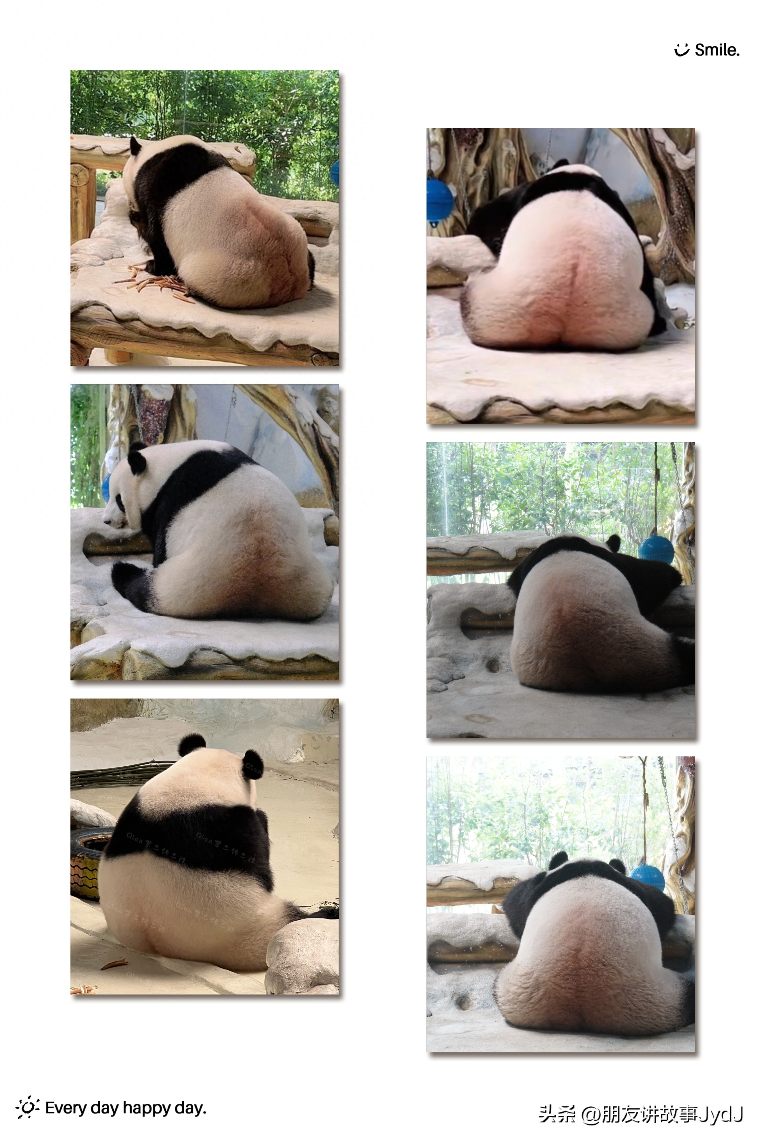 熊猫暖暖亮相（可爱大熊猫暖暖照片）